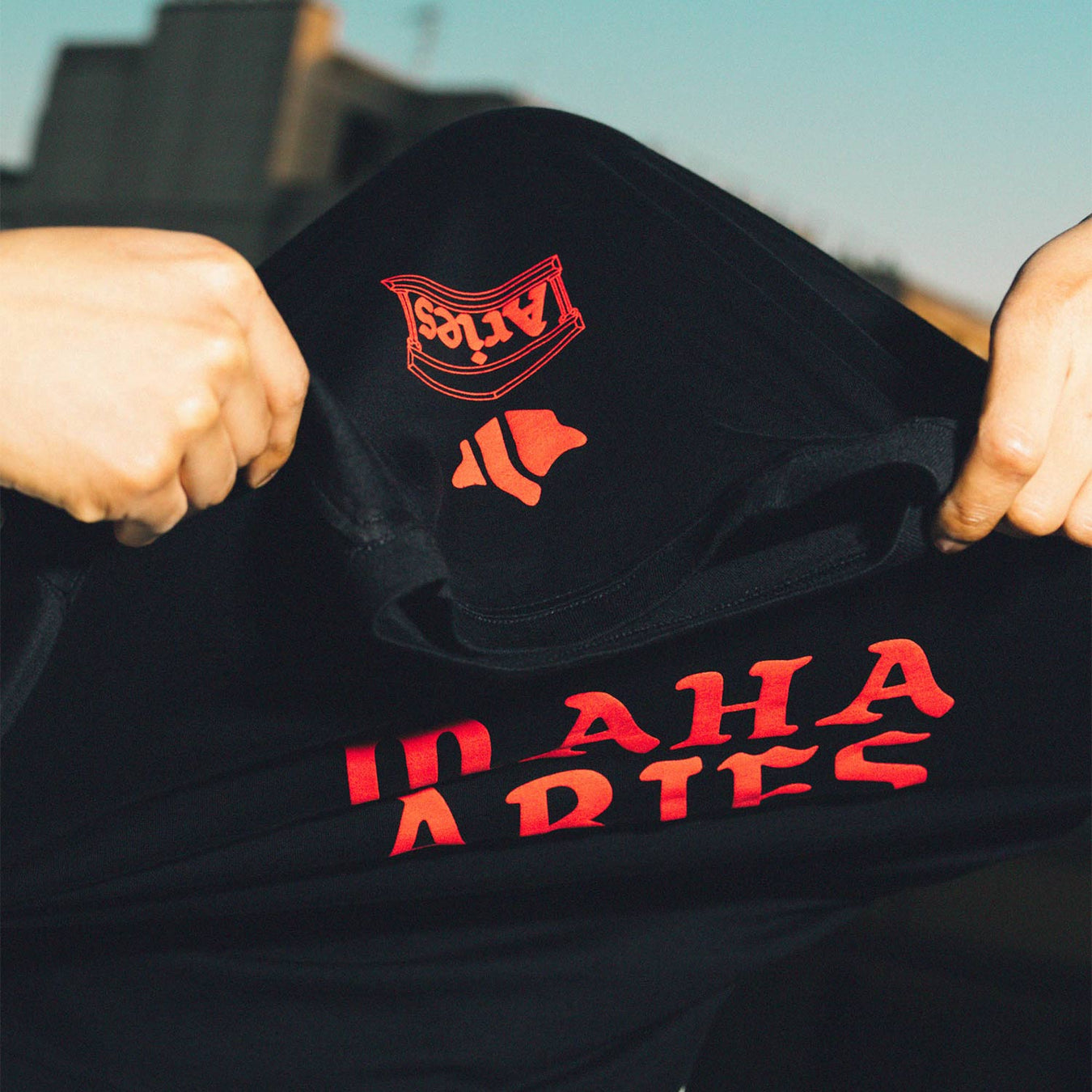 Maharishi · Aries